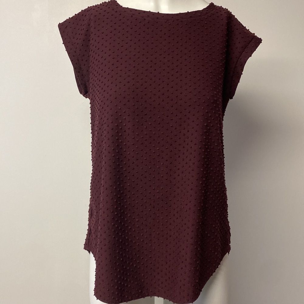 Aritizia Wilfred Burgundy Swiss Dot Top Size XXS